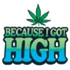 I Got High