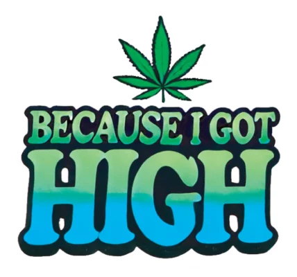 I Got High
