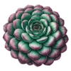 Succulent