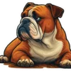 Bulldog