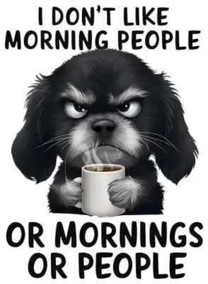I Dont Like Morning People