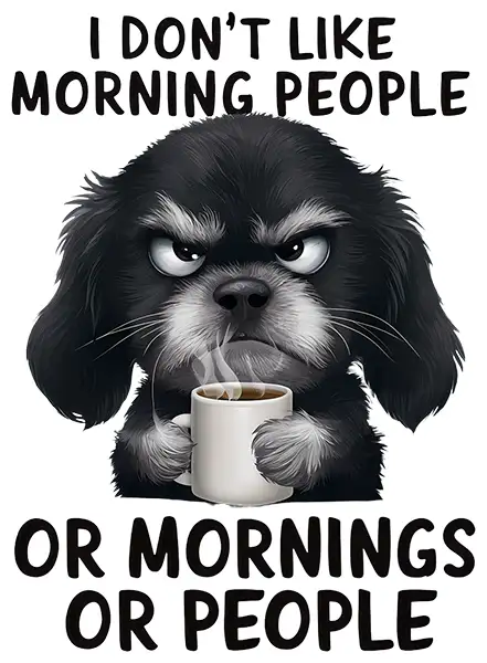 I Dont Like Morning People