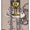 Cups Ace Tarot