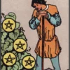 Pentacles 7 Tarot