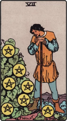 Pentacles 7 Tarot