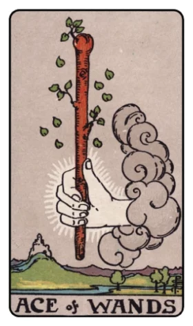 Wands Ace Tarot
