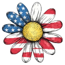 American Daisy
