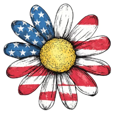 American Daisy