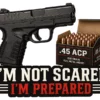 Im Not Scared Im Prepared