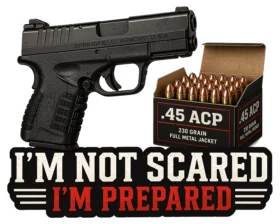 Im Not Scared Im Prepared