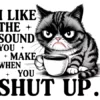 The Sound You Make When You Shut Up