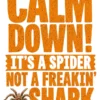 Calm Down Its A Spider
