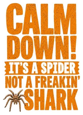 Calm Down Its A Spider