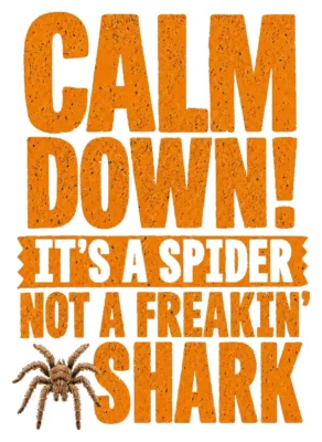 Calm Down Its A Spider