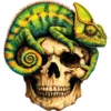 Chameleon Skull