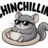 Chinchillin