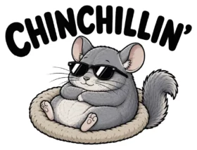 Chinchillin