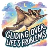 Gliding Over Lifes Problems