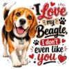 I Love My Beagle