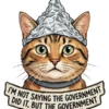 Im Not Saying The Government Did It
