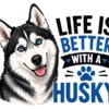 Life Is Better With A Husky