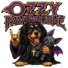Ozzy Pawsbourne