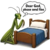 Praying Mantis