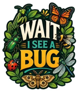 Wait I See A Bug
