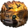Ducks