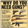 Why Do You Need Guns