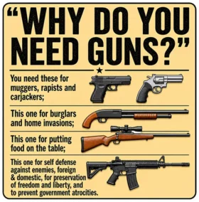 Why Do You Need Guns