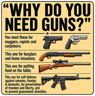 Why Do You Need Guns