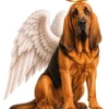 Bloodhound Angel