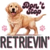 Dont Stop Retrievin