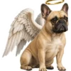 French Bulldog Angel