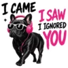 I Came I Saw I Ignored You