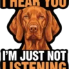 I Hear You Im Just Not Listening