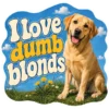 I Love Dumb Blonds