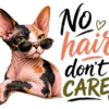 No Hair Dont Care