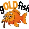 gOLD fish